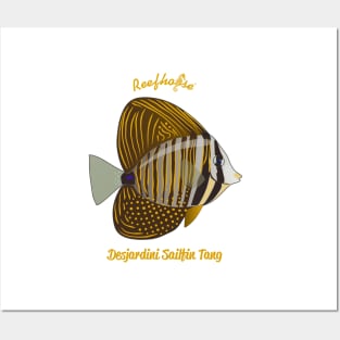 Desjardini Sailfin Tang Posters and Art